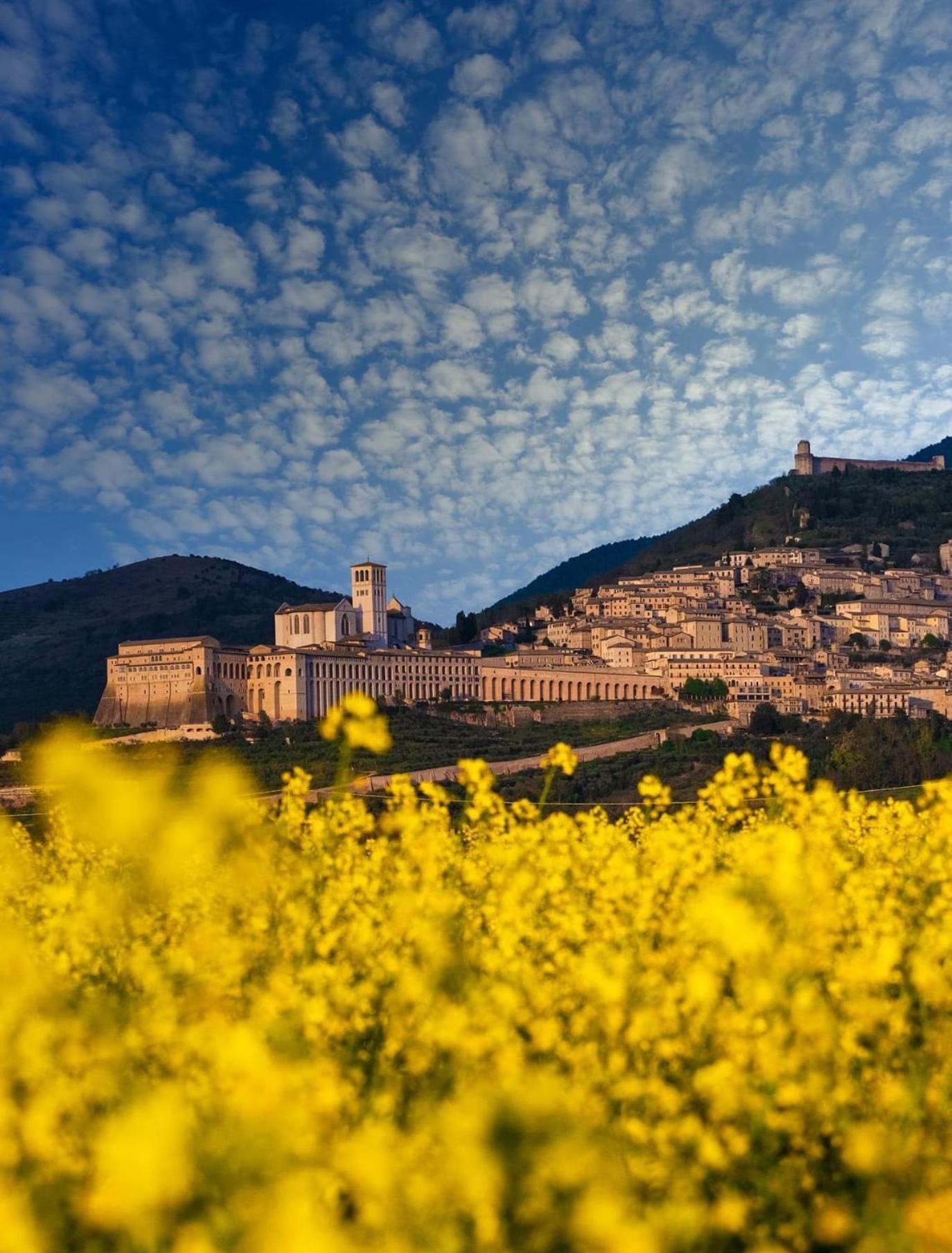 Appartamento Locazione Turistica L'Antica Sorgente Паникале Екстериор снимка