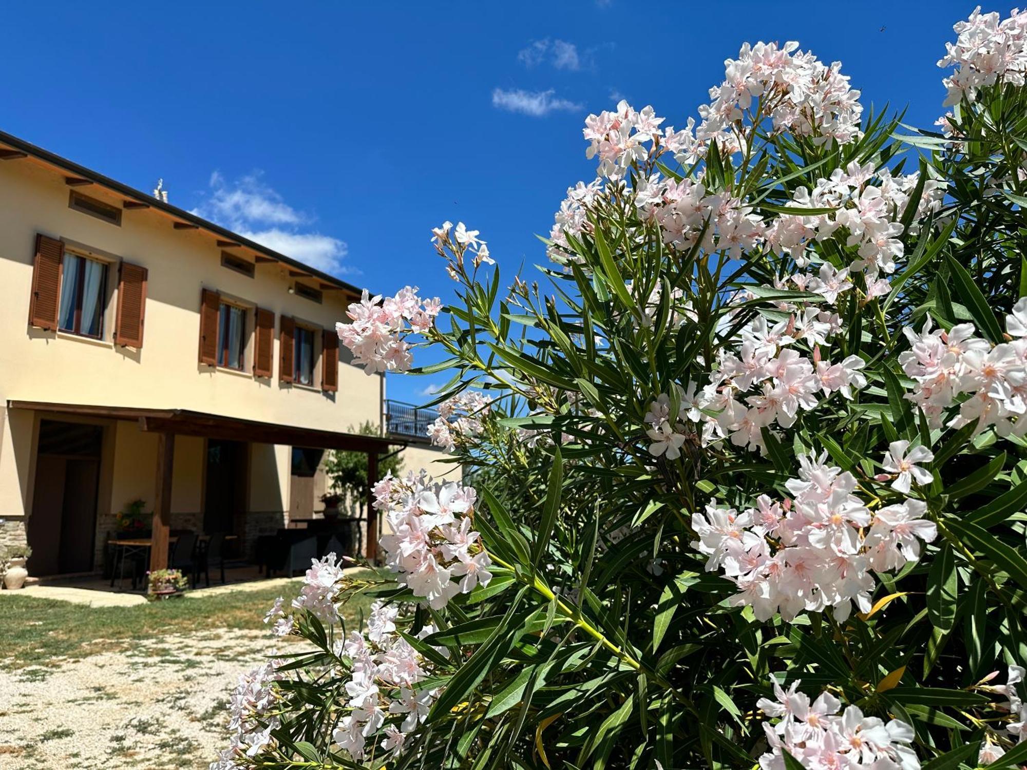 Appartamento Locazione Turistica L'Antica Sorgente Паникале Екстериор снимка